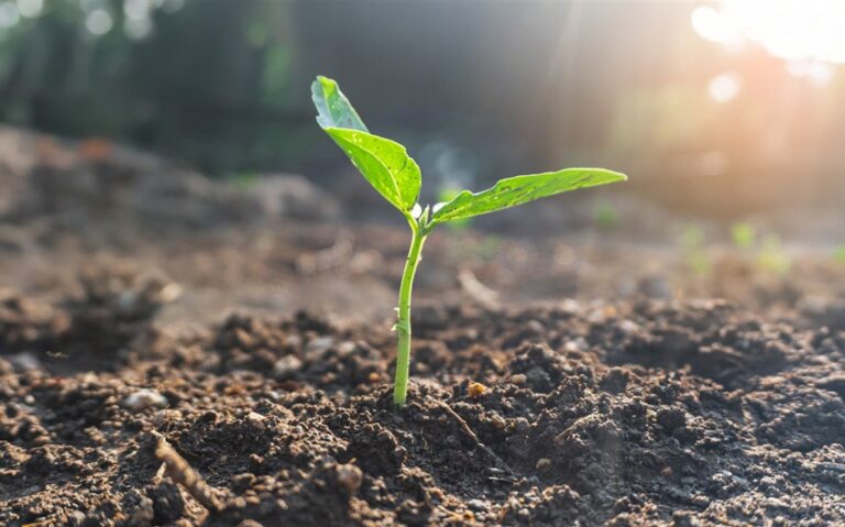 Learning to Grow Without Forcing the Season of Personal Change