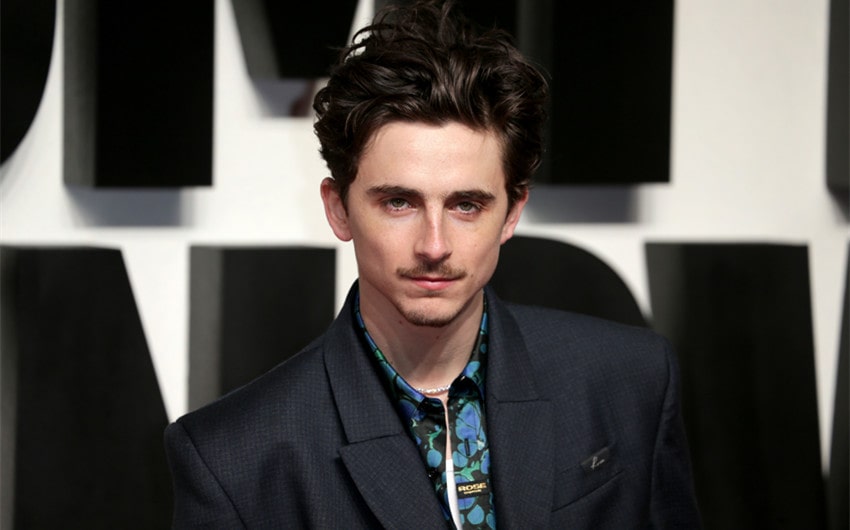 timmy chalamet net worth